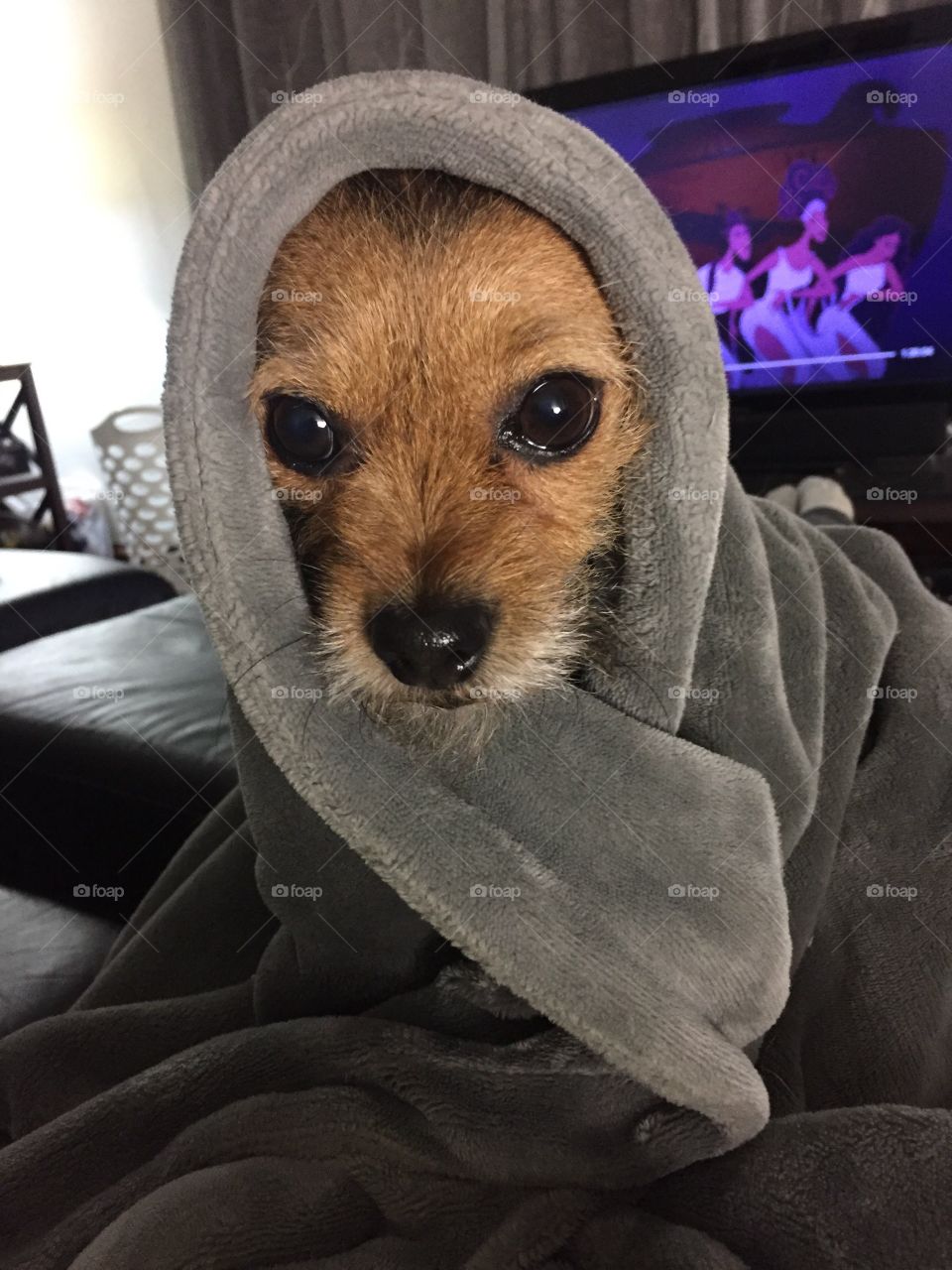 Best Cuddle Buddy Ever