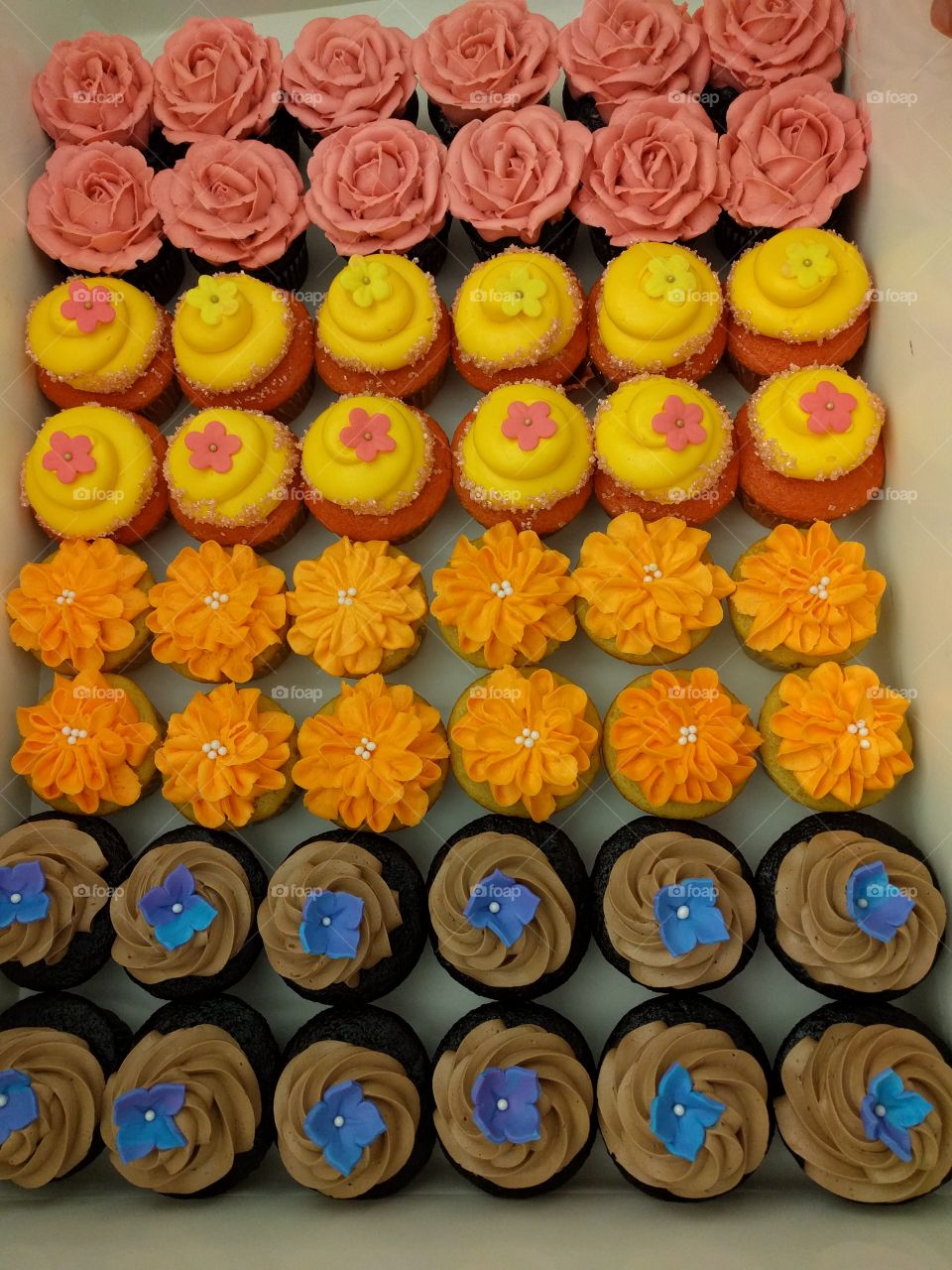 the struggle is real