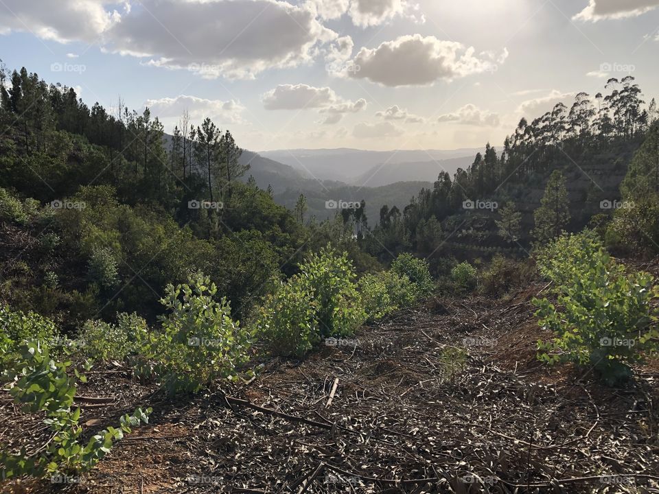 The view across a valley to mountains in the distance, the late afternoon sun gives off a hazy light behind soft white clouds - no edits, #nofilter, true nature, #truephotos