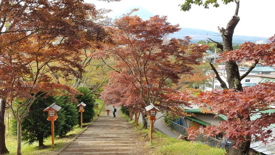 Hiking stairs trails