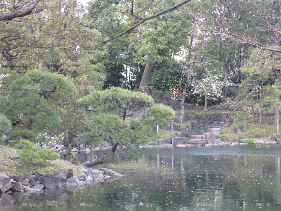 Asakusa, Tokyo, Japan.  Temple Gardens in Springtime.