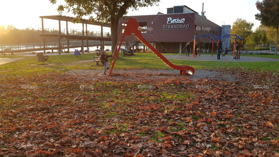 red slide with red leaves