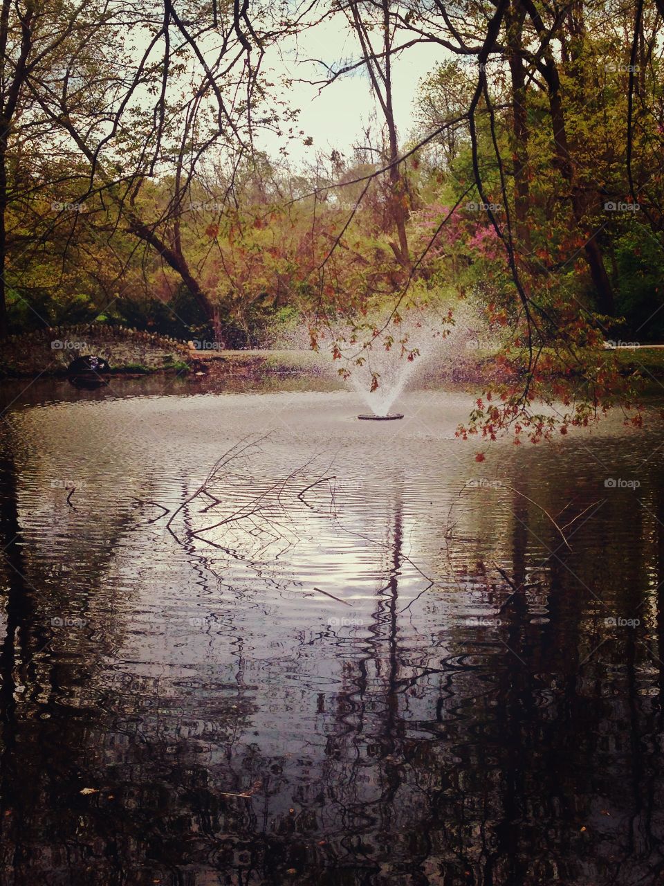 Misty Springs . I was at a park and saw this lake and had to take picture!