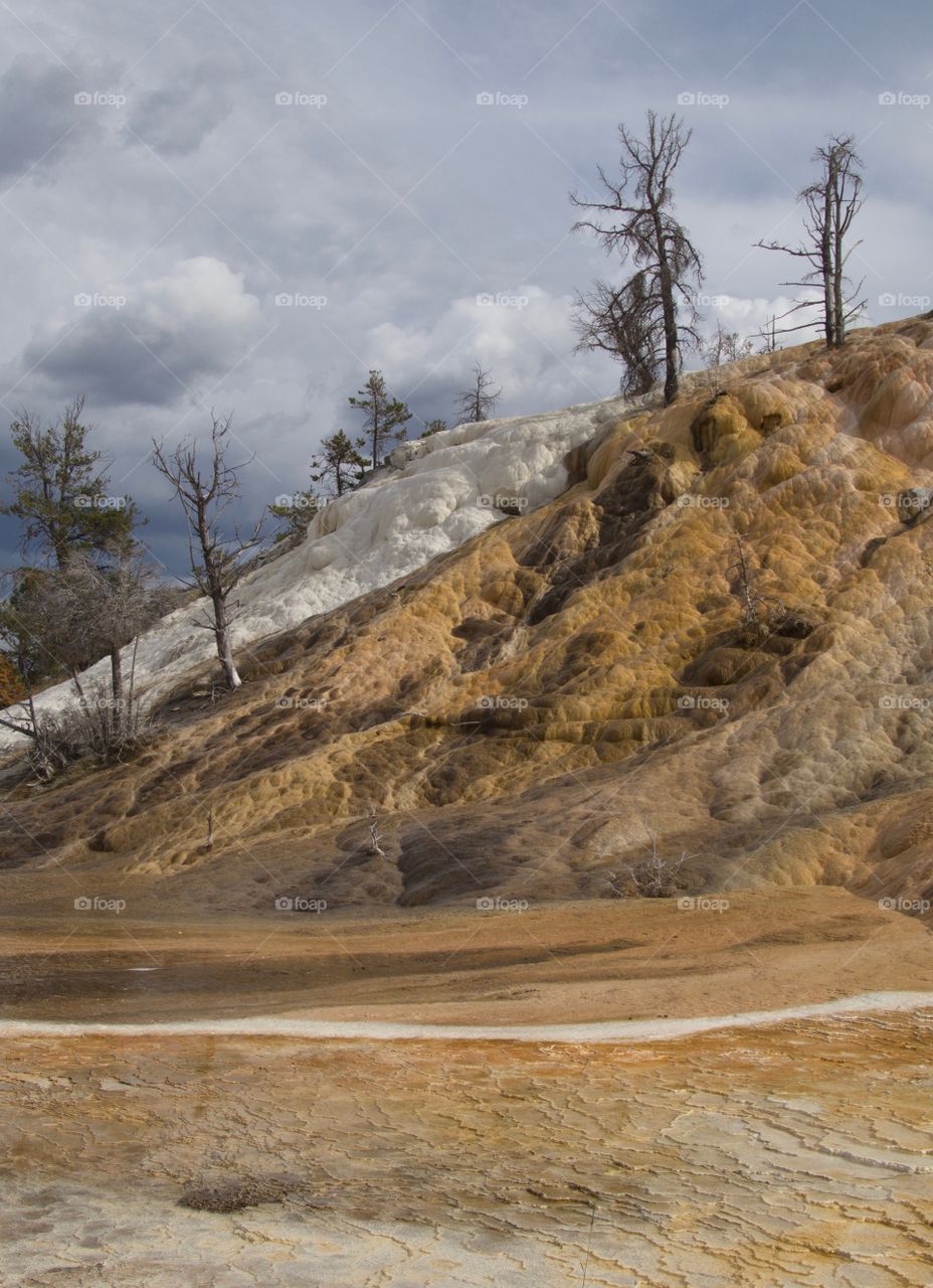 The incredible colors and texture of Mammoth Hot Springs in northern Yellowstone National Park in Wyoming on a summer day. 