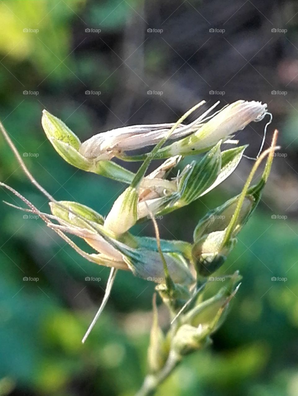 Angels are in the details