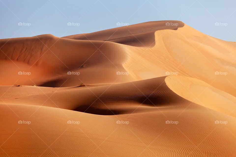 Endless sand dunes in the desert, natural landscape in UAE