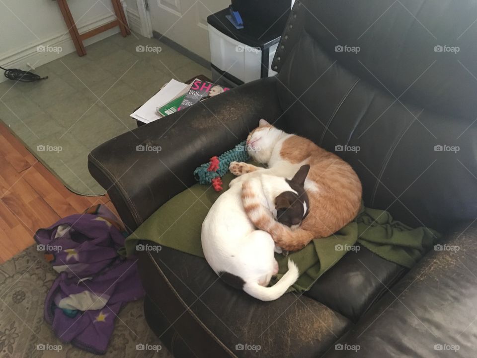 After a long day of playing hard this is how some of us fall asleep in the afternoon!