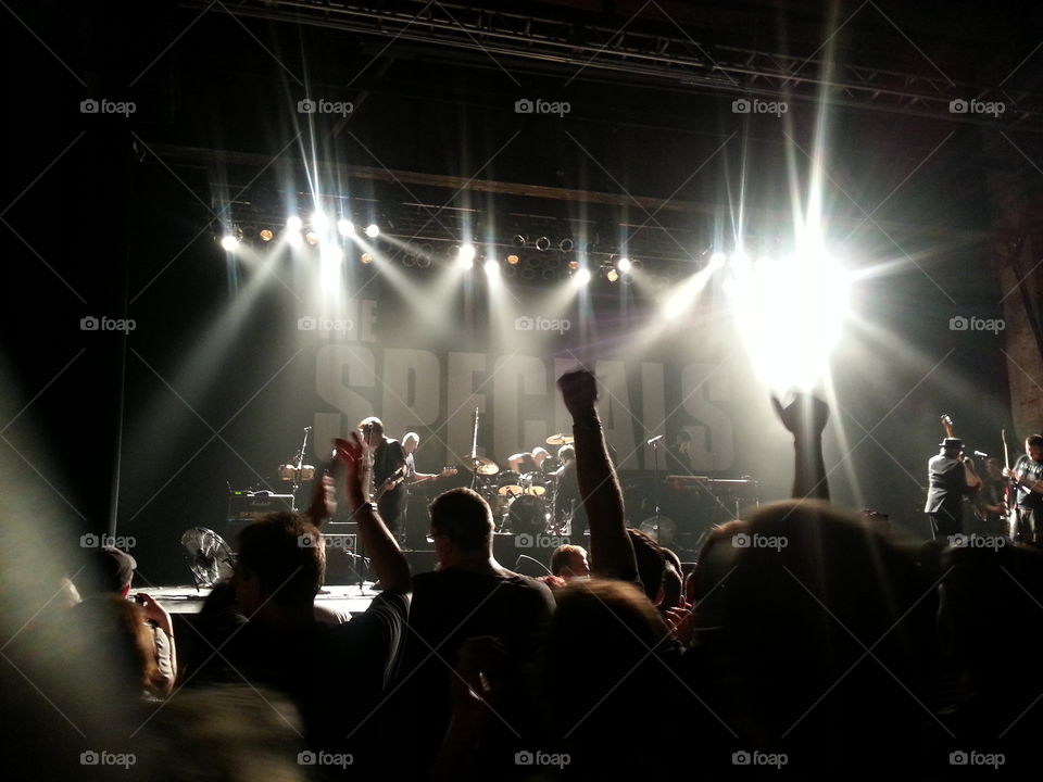 concert. in the crowd