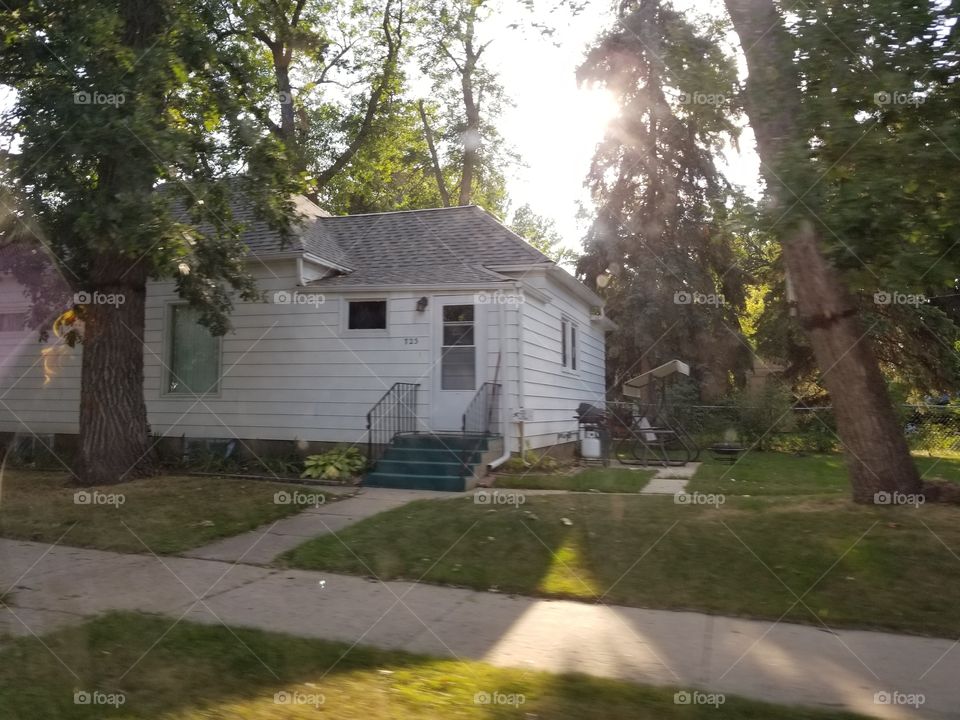 Home, House, Tree, Building, No Person