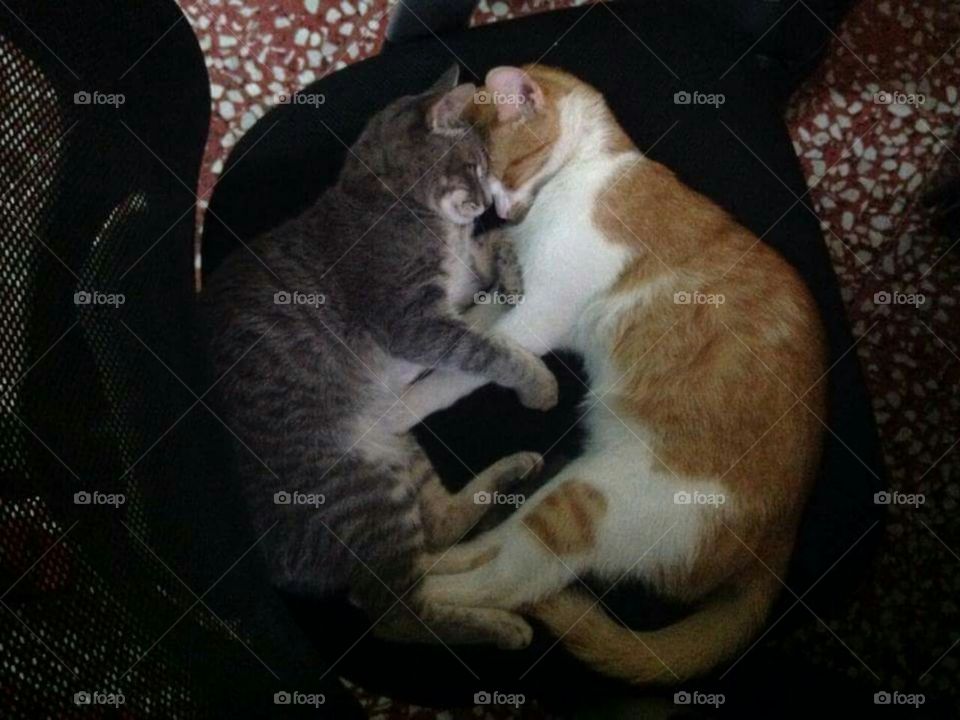 sleeping with little stepbrother