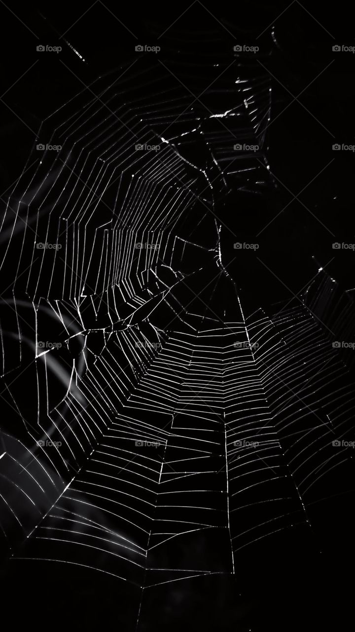 Spiderweb | teia de aranha