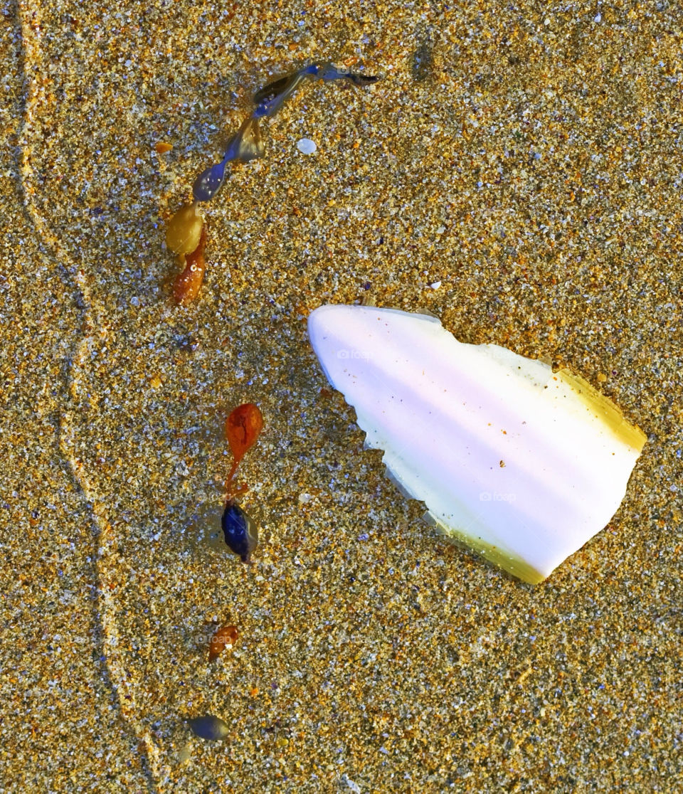 beach sand shell wash by idon