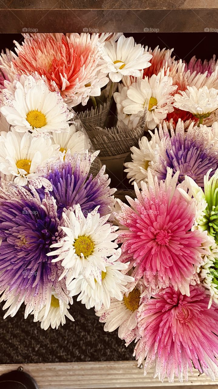 Assortment of fresh flowers for the Holiday. 