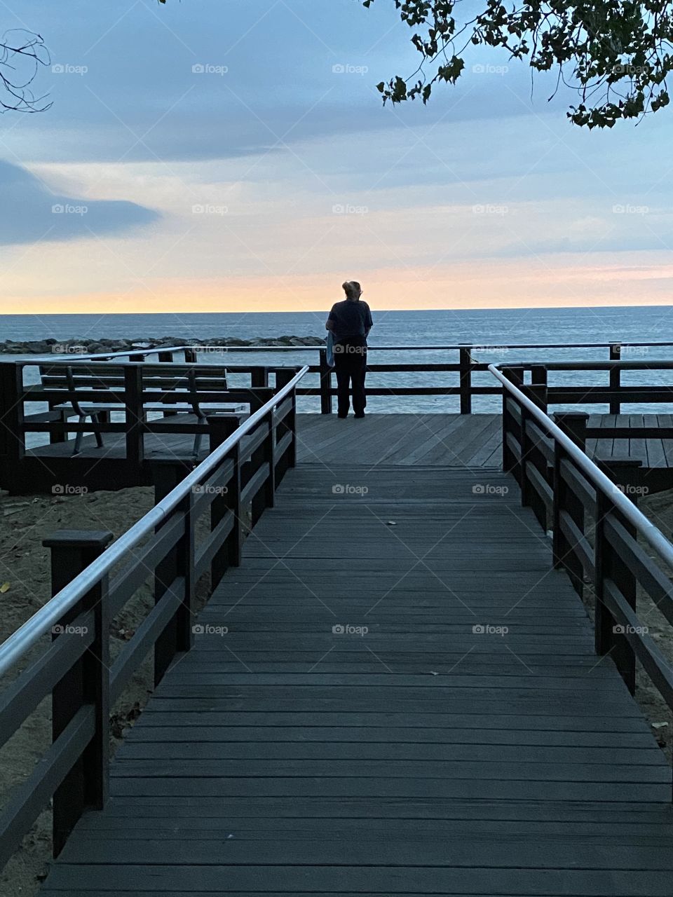 What dreams may come