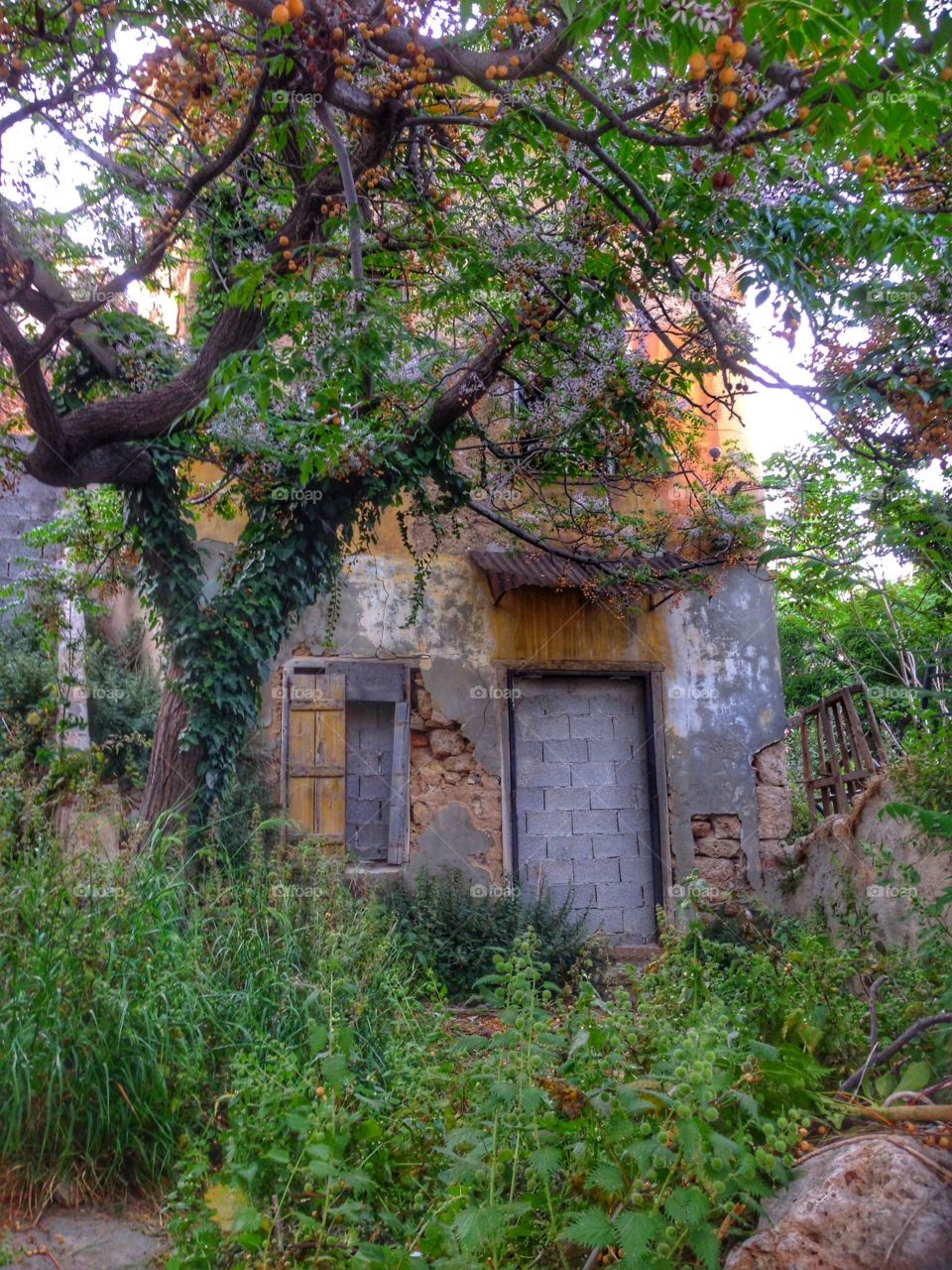 Delapidated house