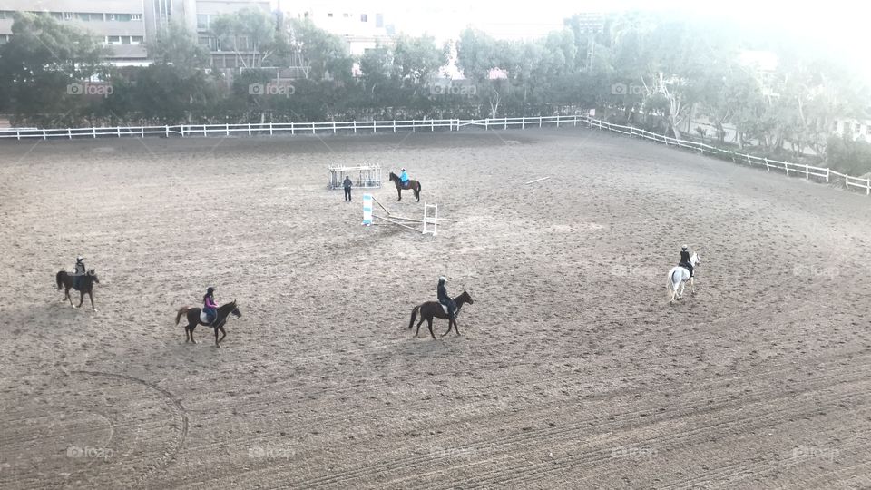 i watch from on the bridge