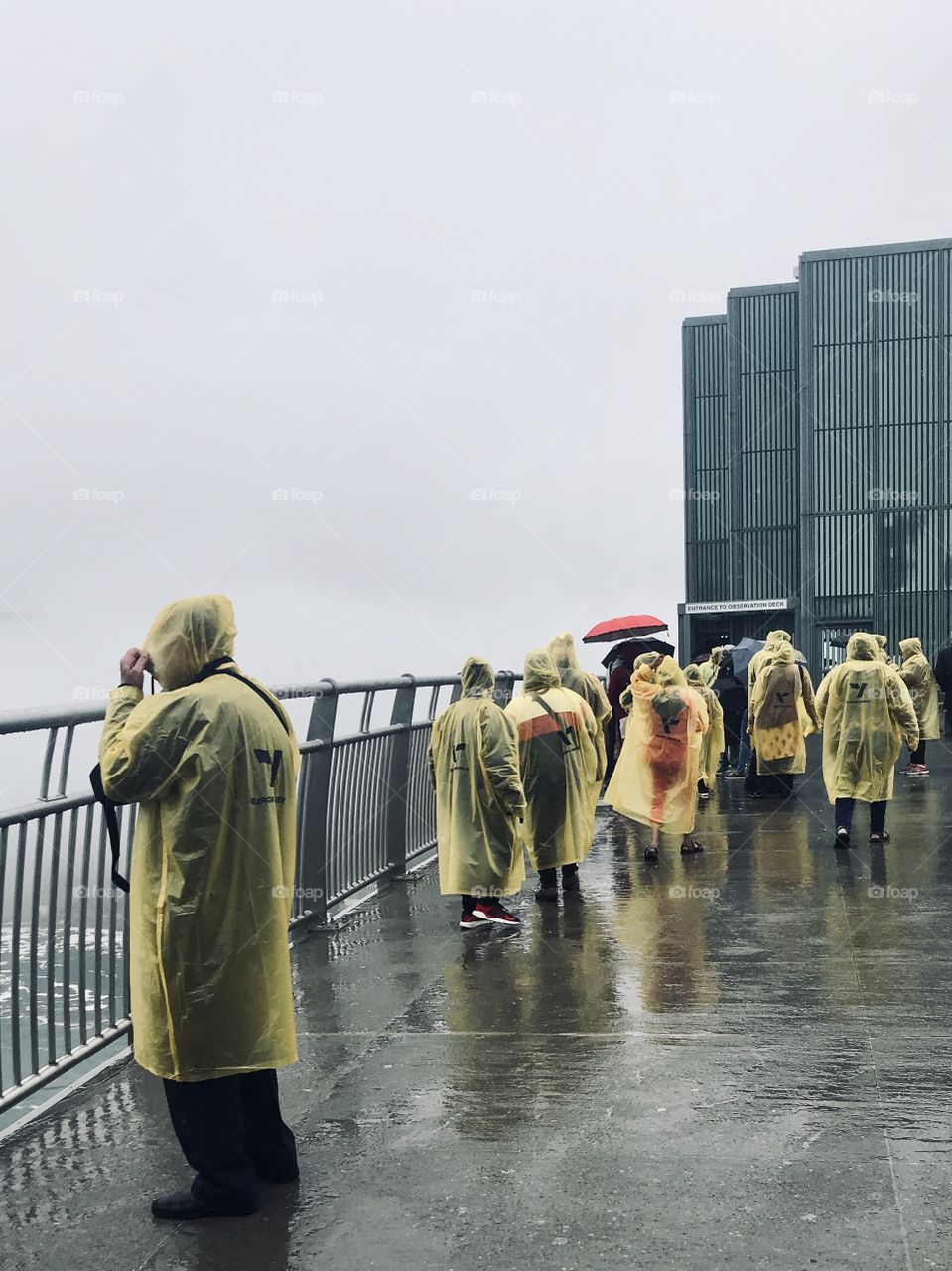 Yellow Raincoats 