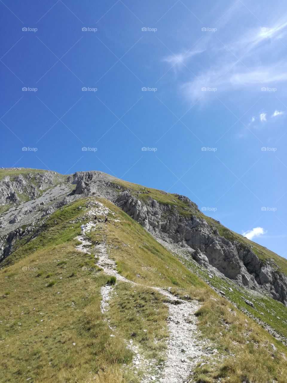 At the top. 2200 mt. mountain