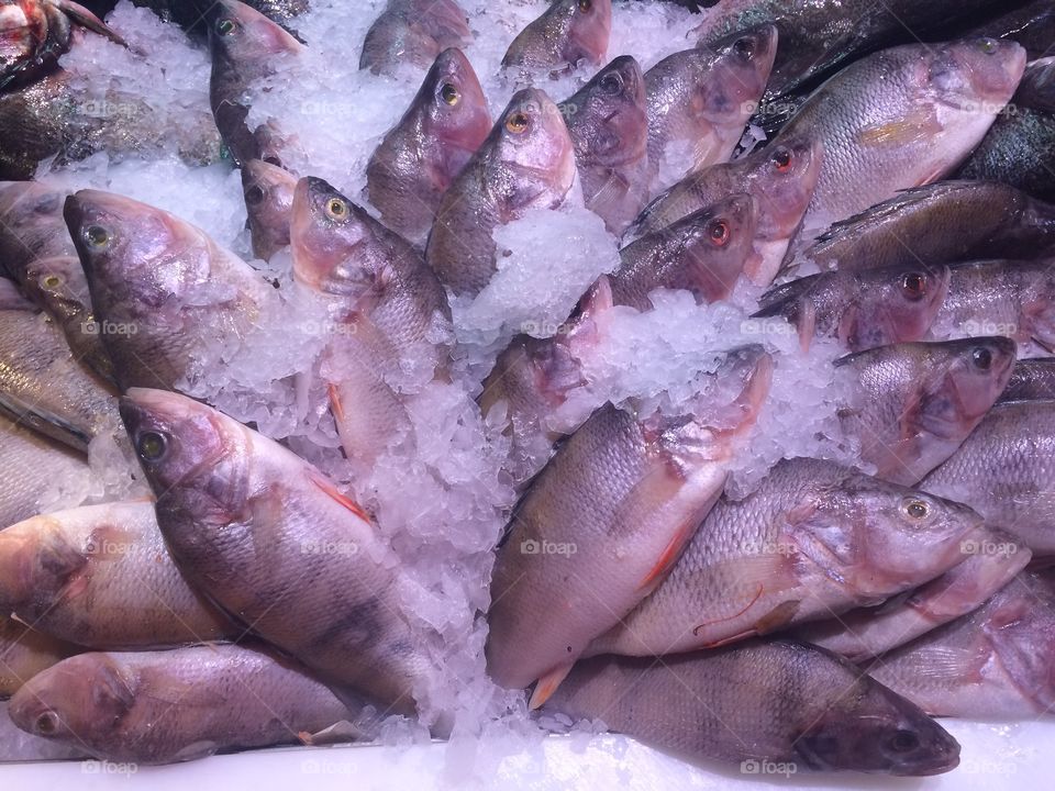 Fish kept in ice