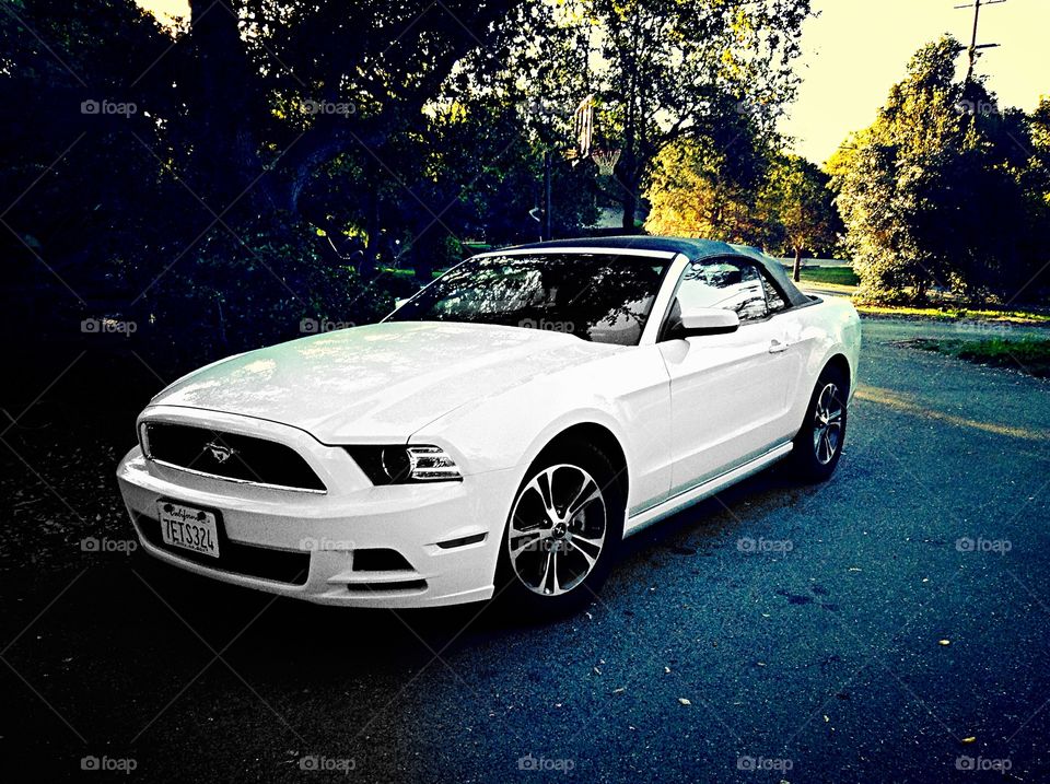  GT Mustang