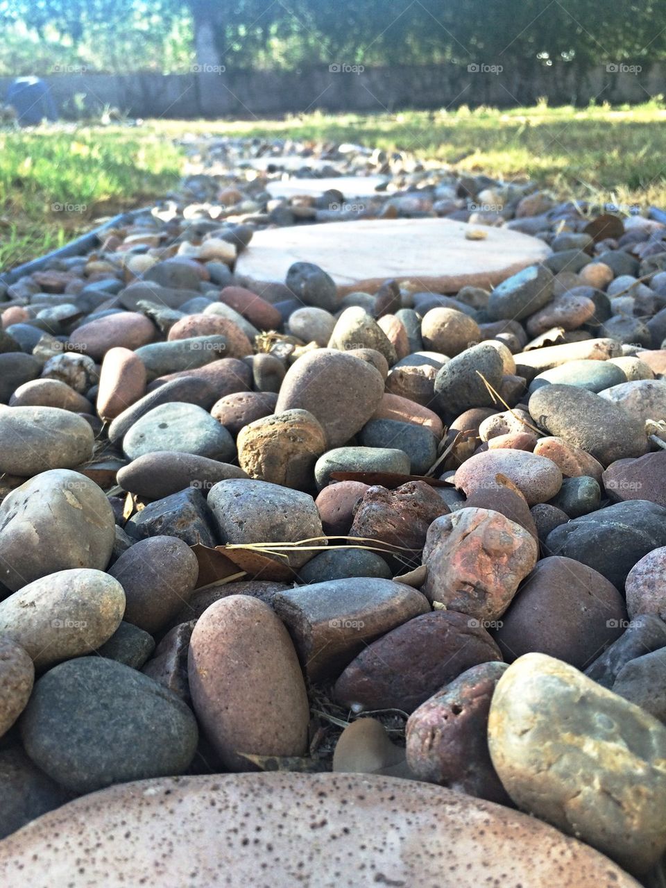 Stones path in backyard