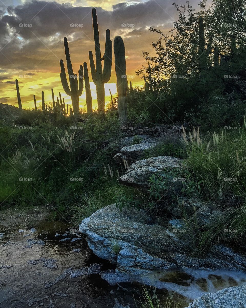 Nature Landscape - River Sunset 