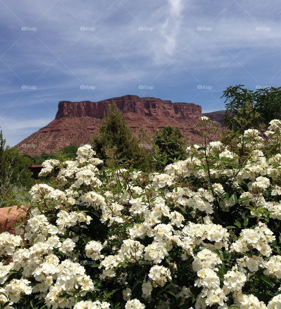 Gateway, Colorado #3