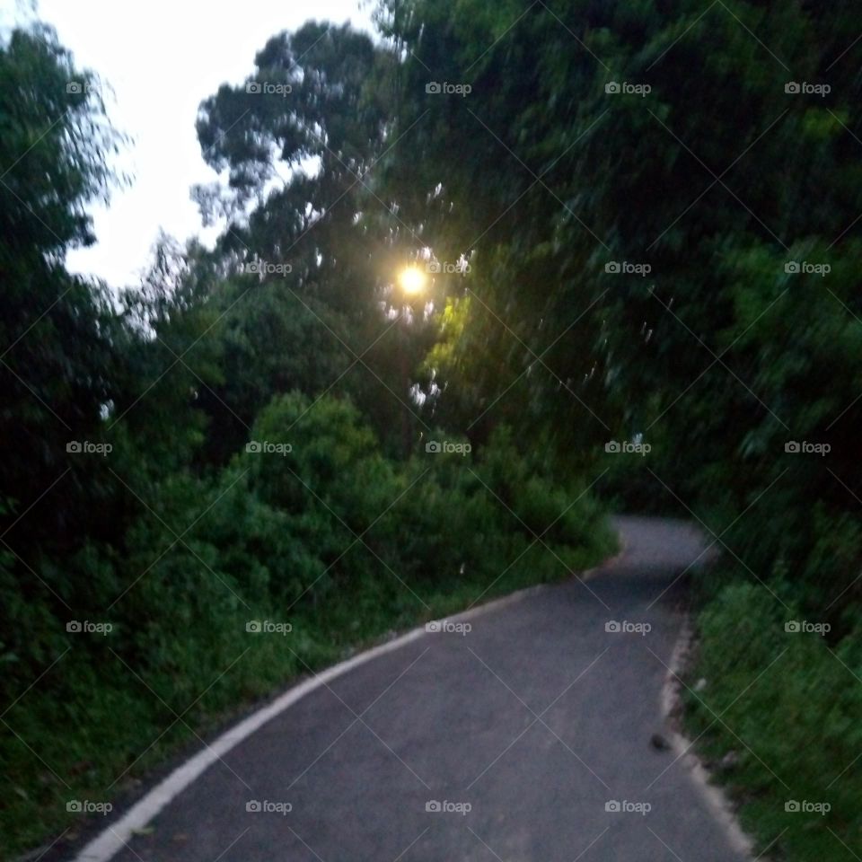 upload photo of the Nature