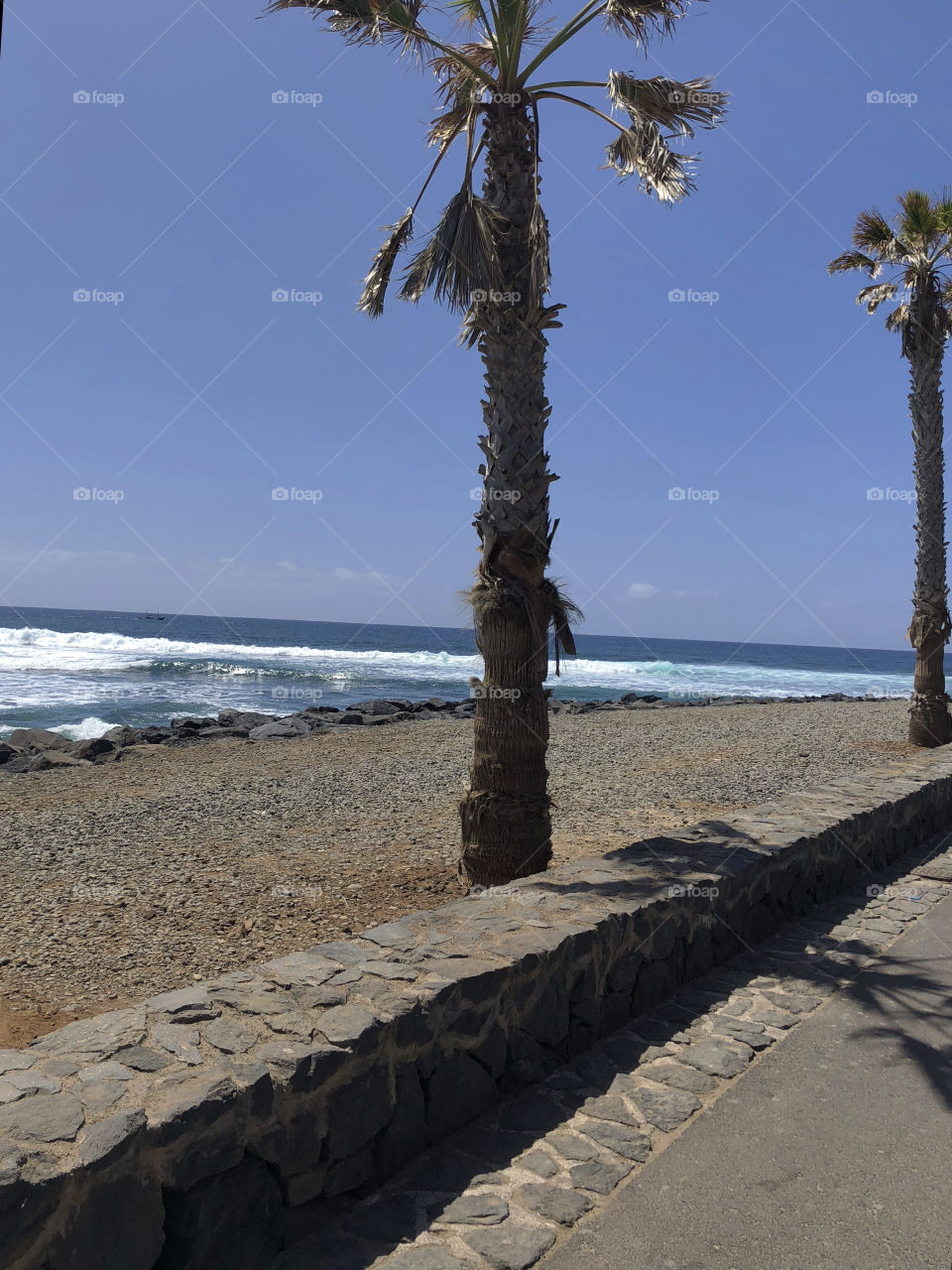Observing the waves during a recent trip to  Tenerife.
