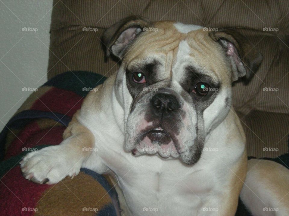 Can we talk about this??