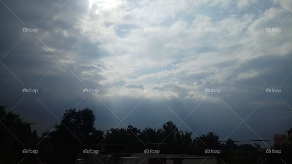 This is beautyfull click and nature sunlight