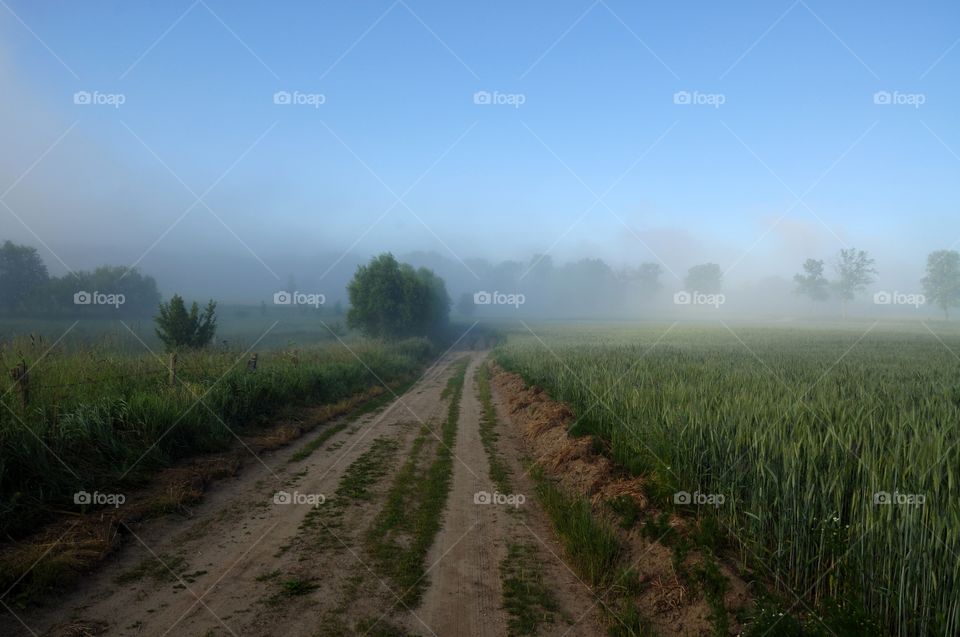 View of dirt road in field