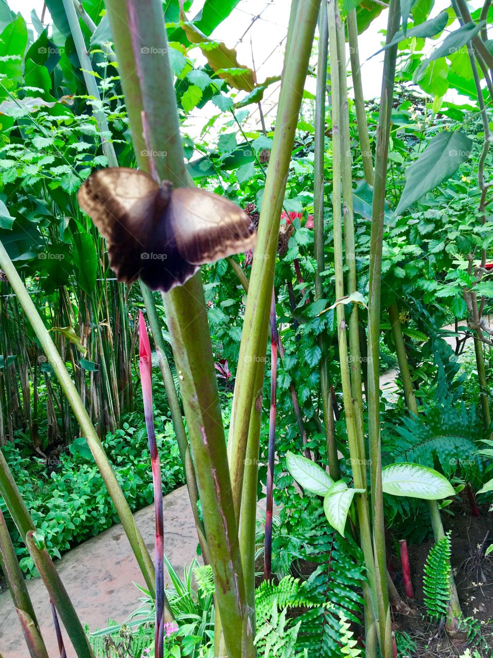 Peaceful nature  🦋 