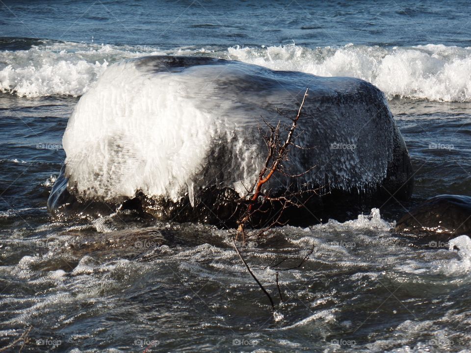 Northern Michigan 