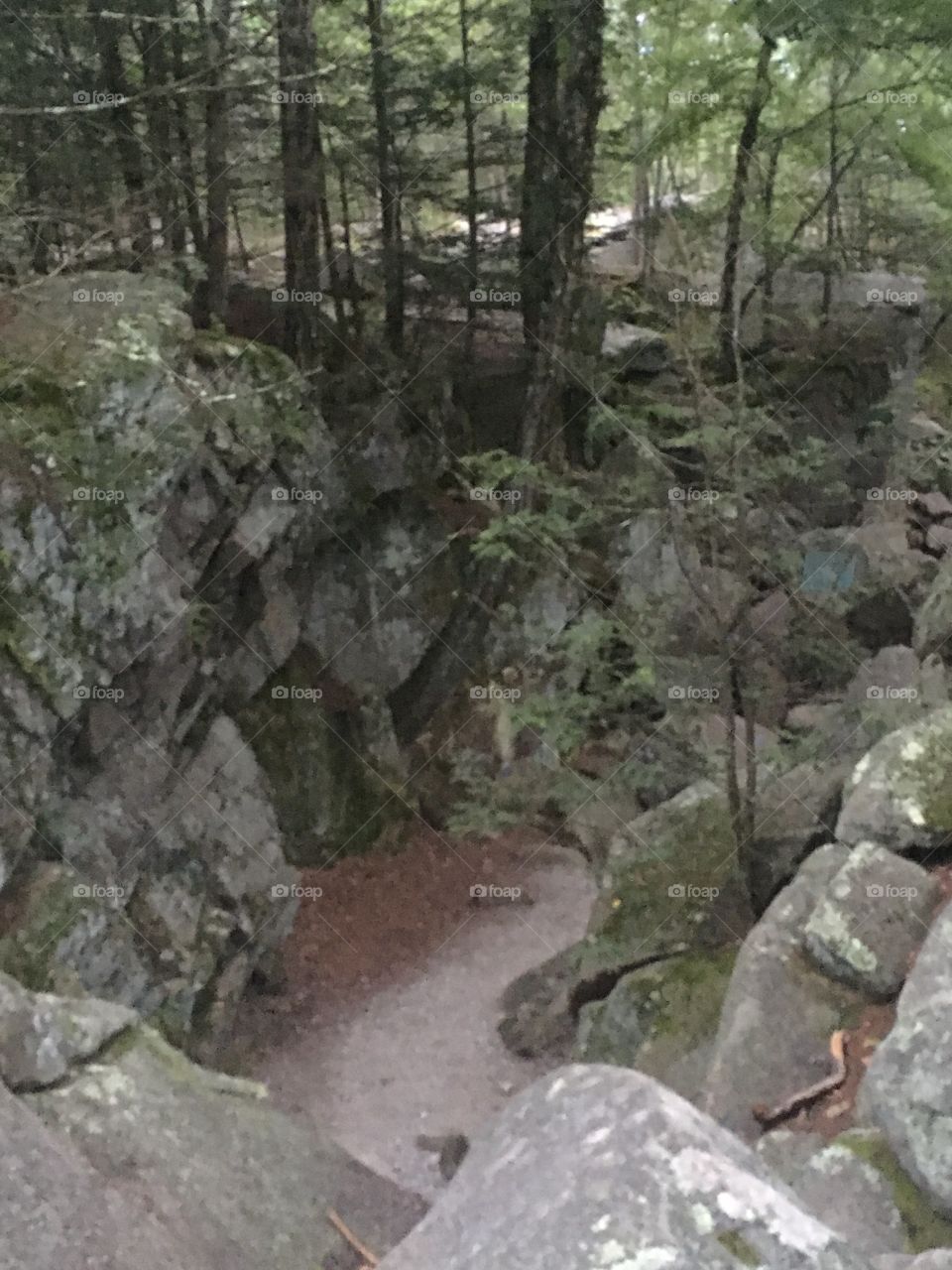 What was once a building now only some walls still standing at Purgatory Chasm in Massachusetts.