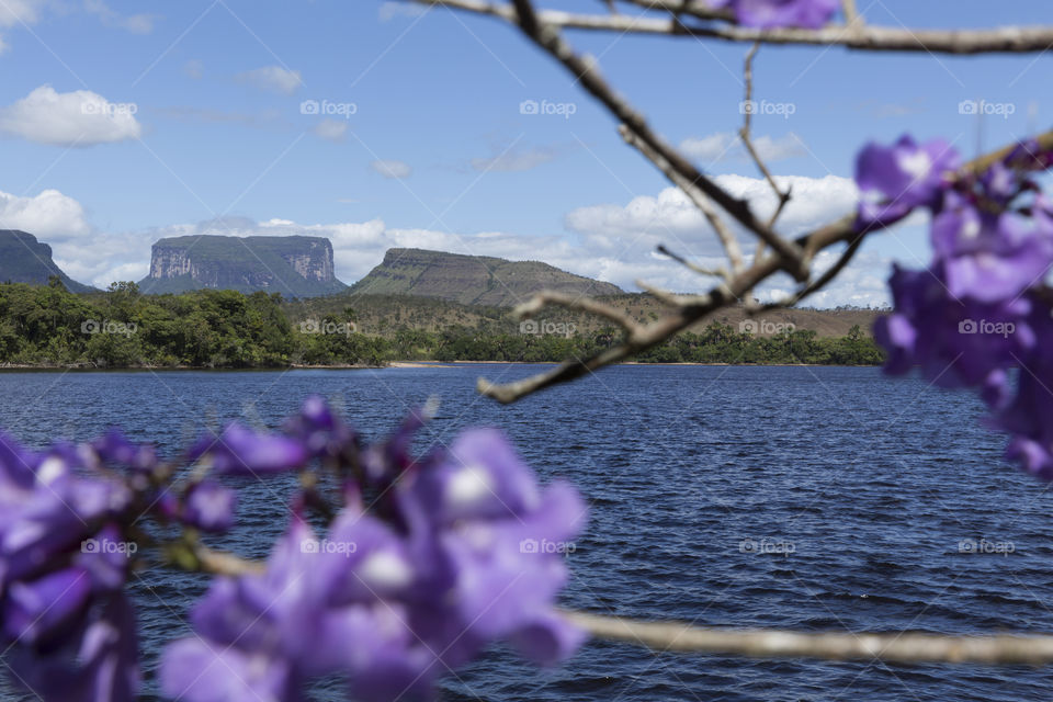 Canaima National Park in Venezuela.