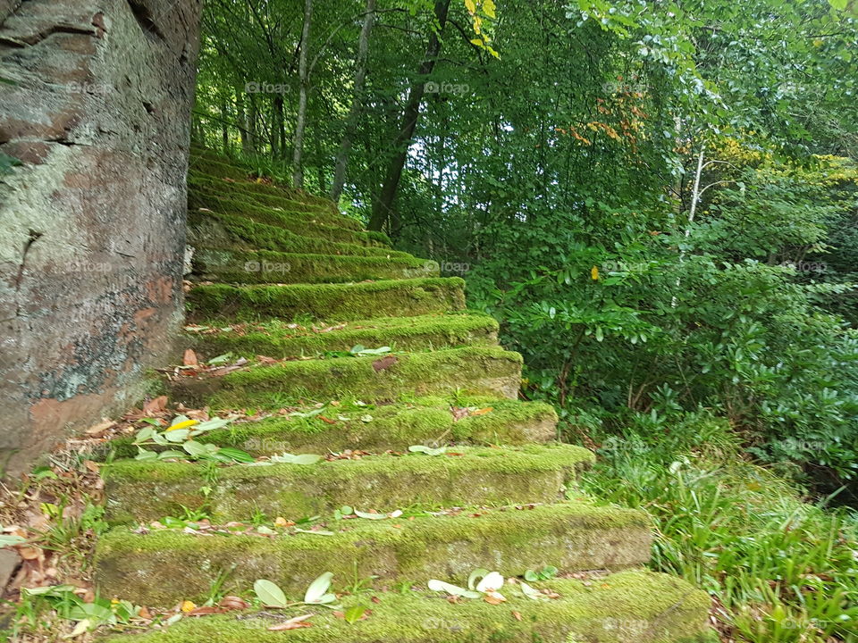 old sandstone stairs