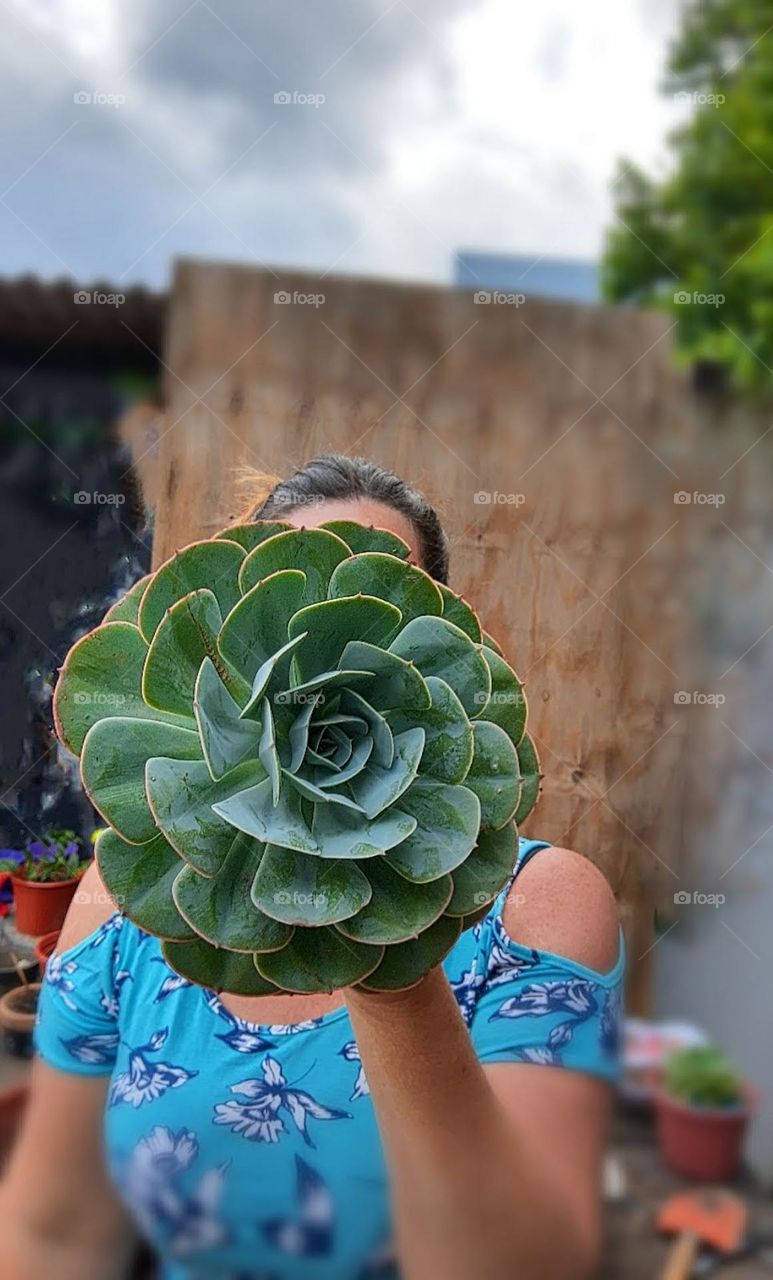 woman holding a big succulent