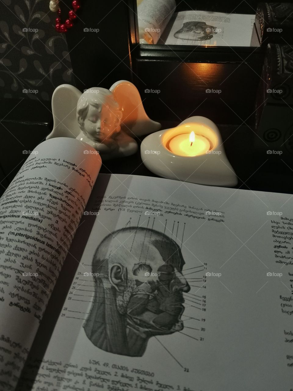 Studying anatomy has never been that romantic! 😁