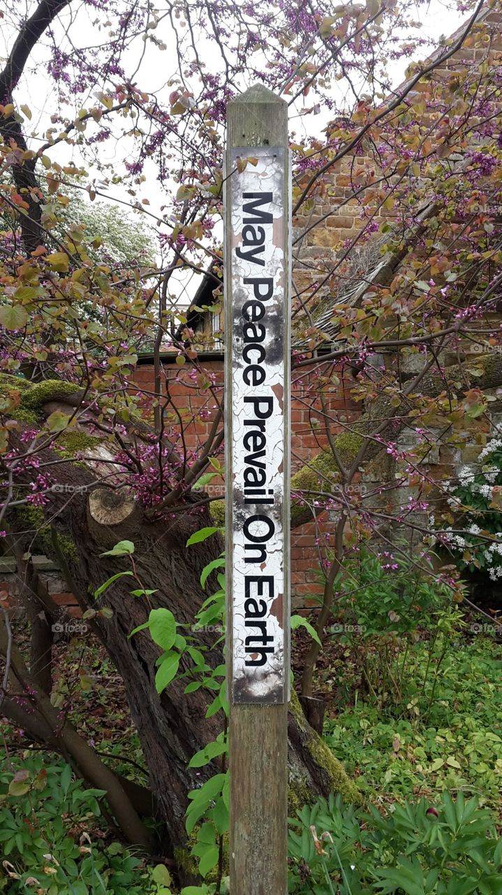 May Peace Prevail On Earth White Wooden Sign Post In Delapre Abbey Public Gardens - Overgrown Garden With Pink Blossom Trees