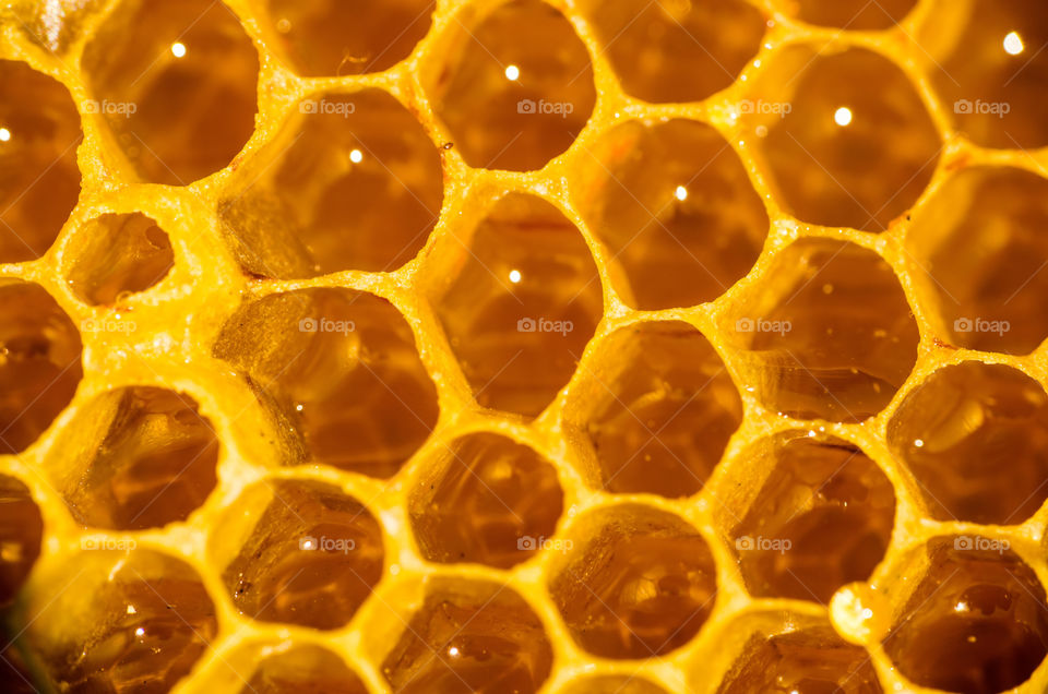 Honeycomb