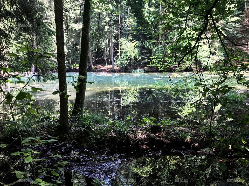 Steibachweiher 