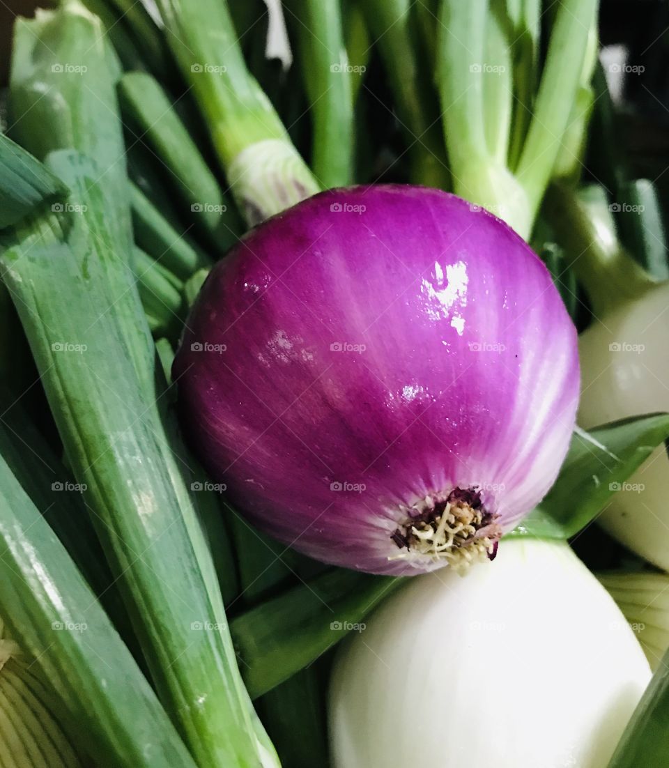 Red onion with green scallions and white onions
