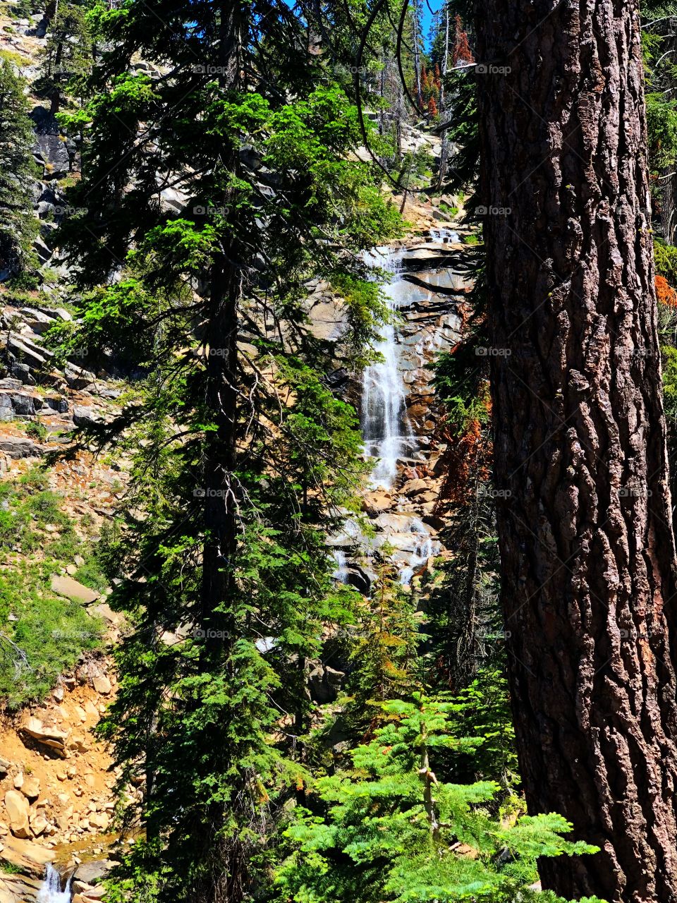 Rancheria Falls #waterfalls #hiking #nature #SierraNationalForest  #mountains #great outdoors #adventurous  #Forestry 