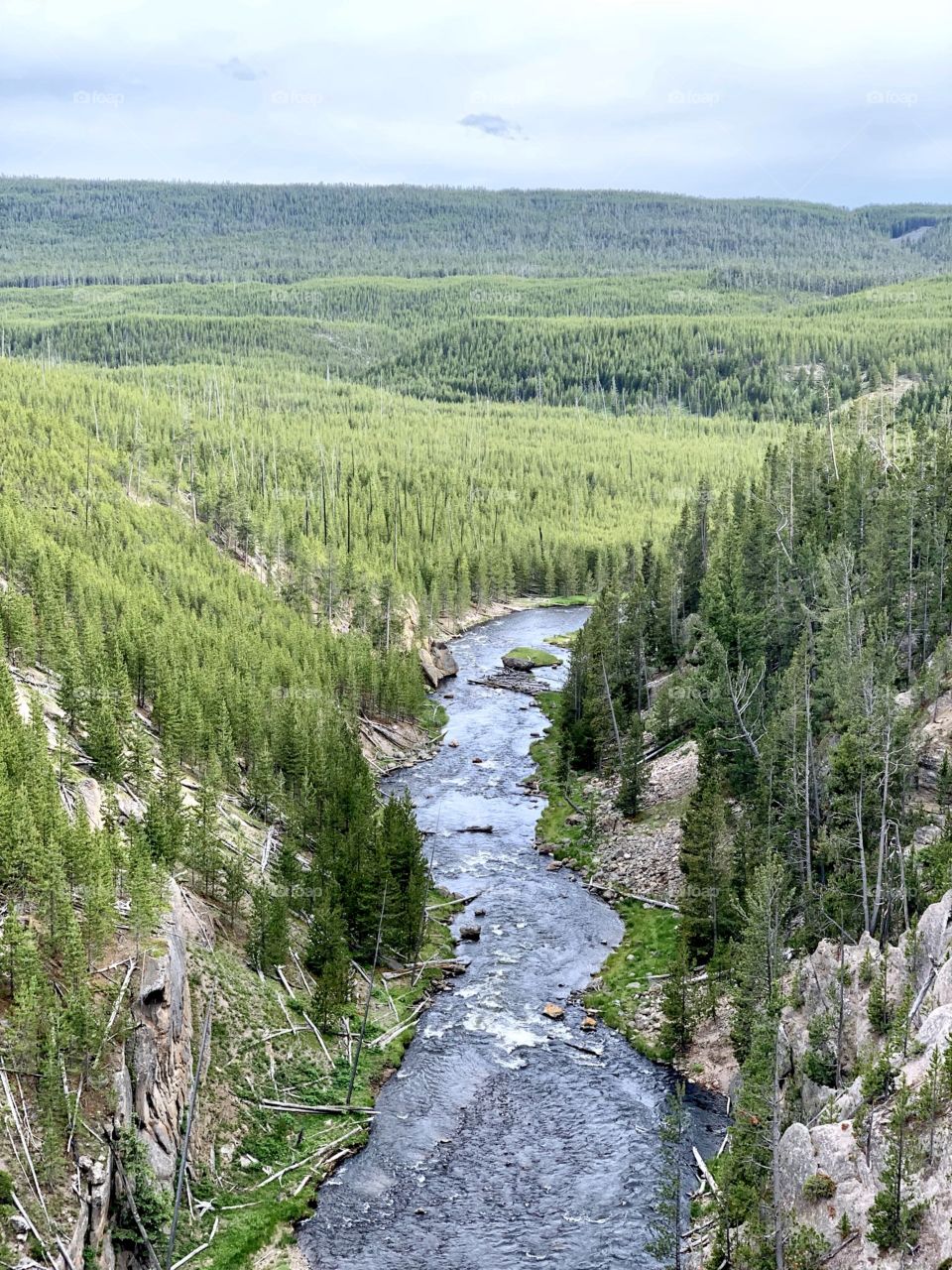 A river runs through it