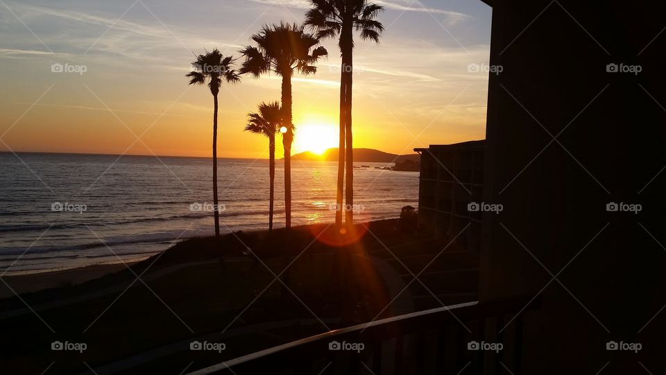 Pismo Palms at Sunset