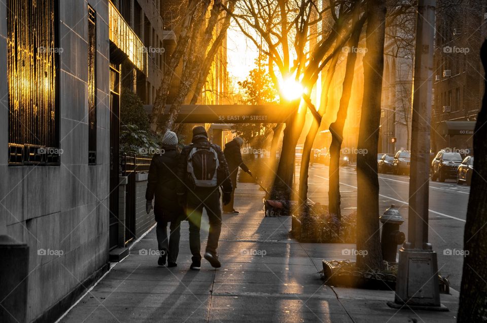 Strolling towards the light. 