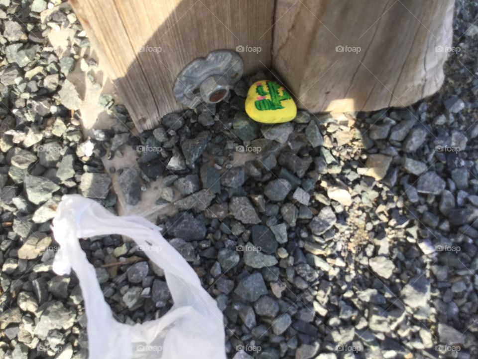 Stone painted by my mom and I placed in the Park