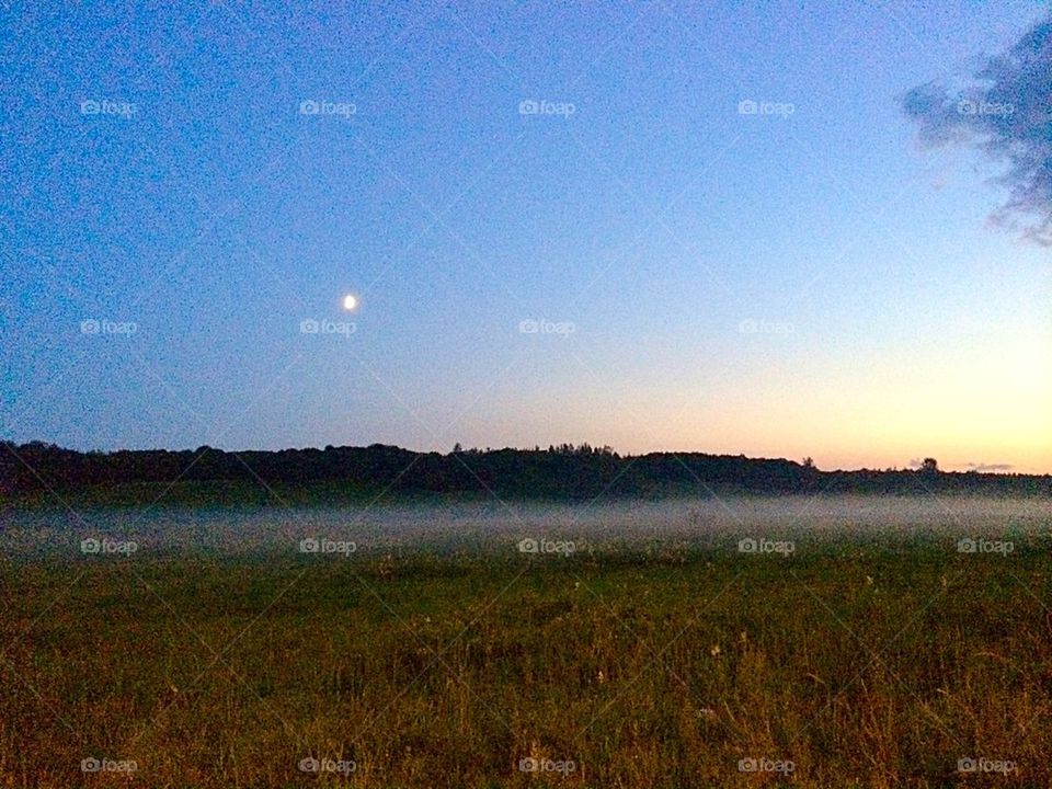Fog over the field at night