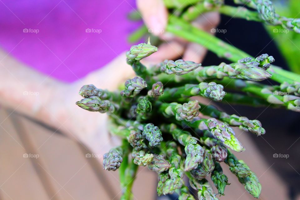 Person holding bunch of asparagus